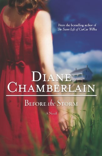 Diane Chamberlain/Before the Storm